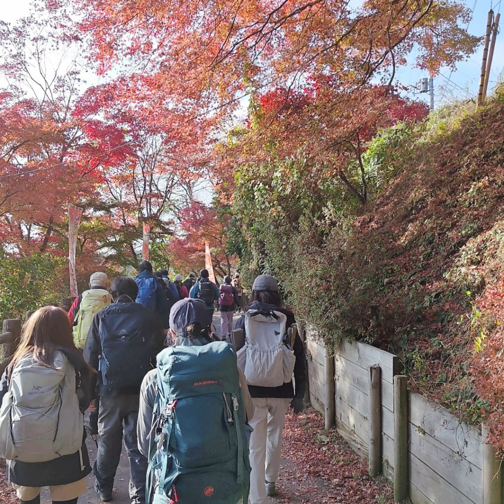 2025/11/16 公開ハイク・大岳山