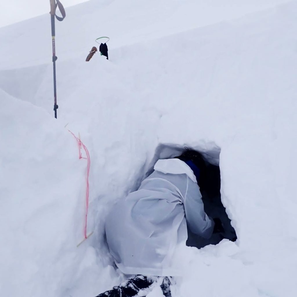 2026/02/07 八海山・雪洞山行