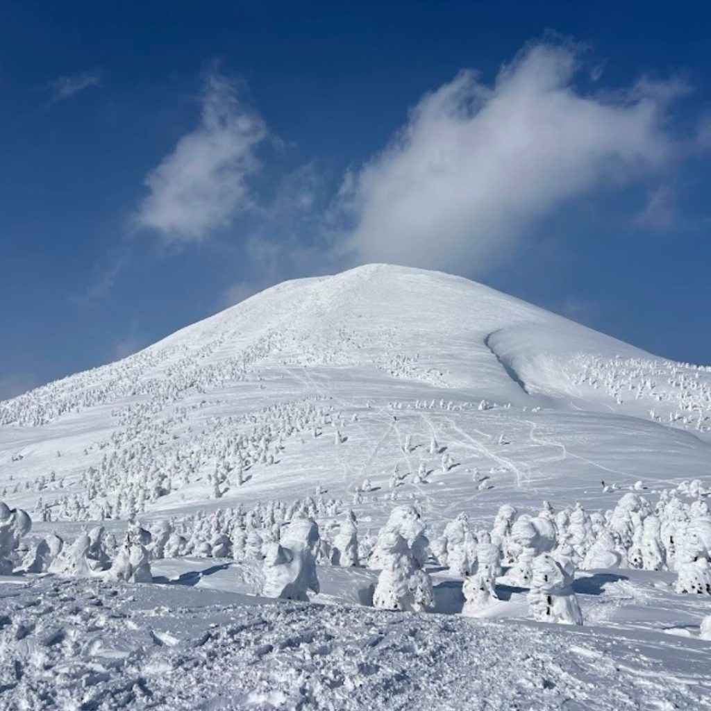 2026/02/14 八甲田山